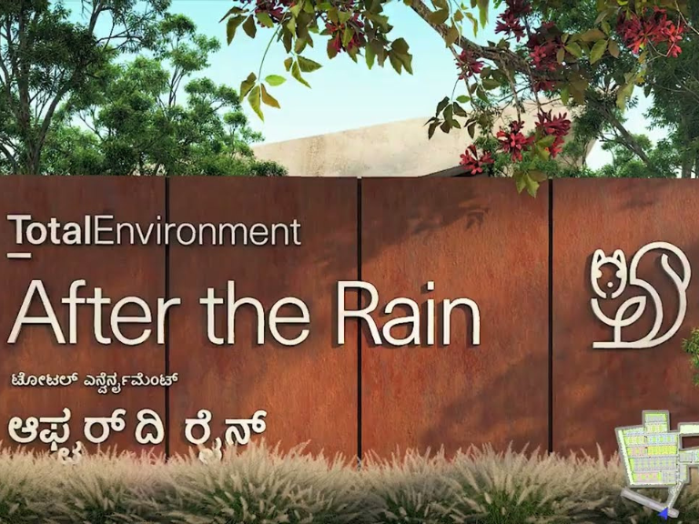  Total Environment After The Rain  